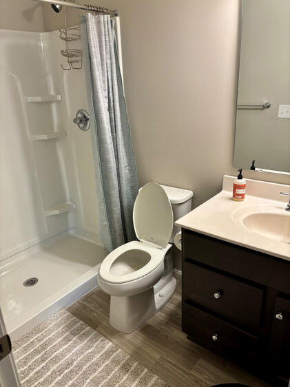 Basement Bathroom